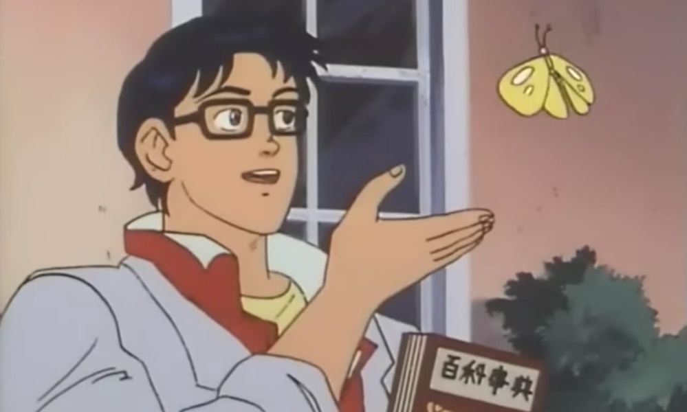Is This a Pigeon? meme template