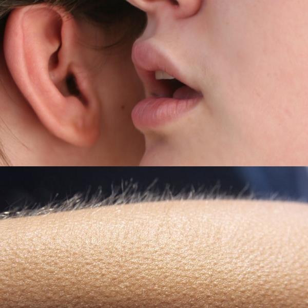 Whisper and Goosebumps blank meme template
